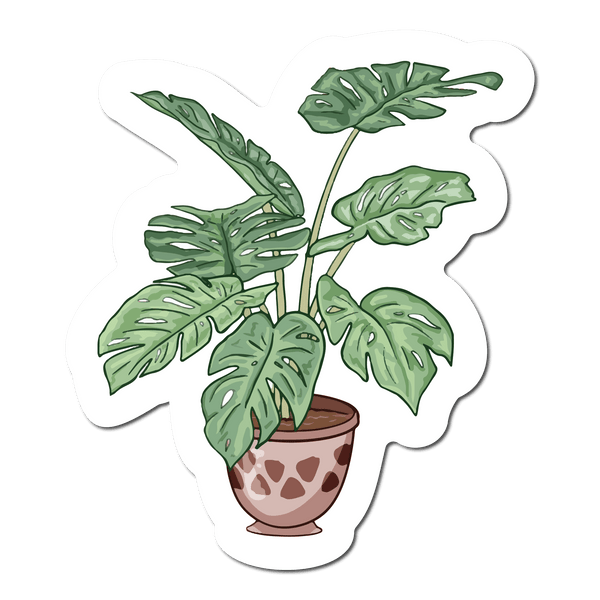 Plant Stickers - Monstera Stickers - Anthurium Stickers - Water Resist –  The Moss Pole
