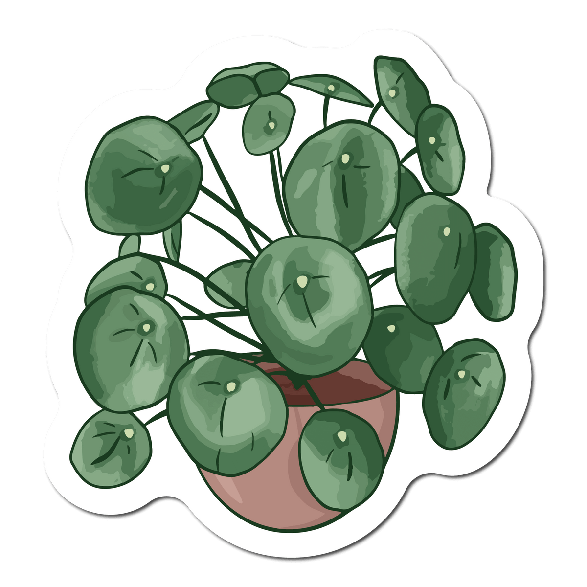 Small Sticker of a Chinese Money Plant Houseplant 
