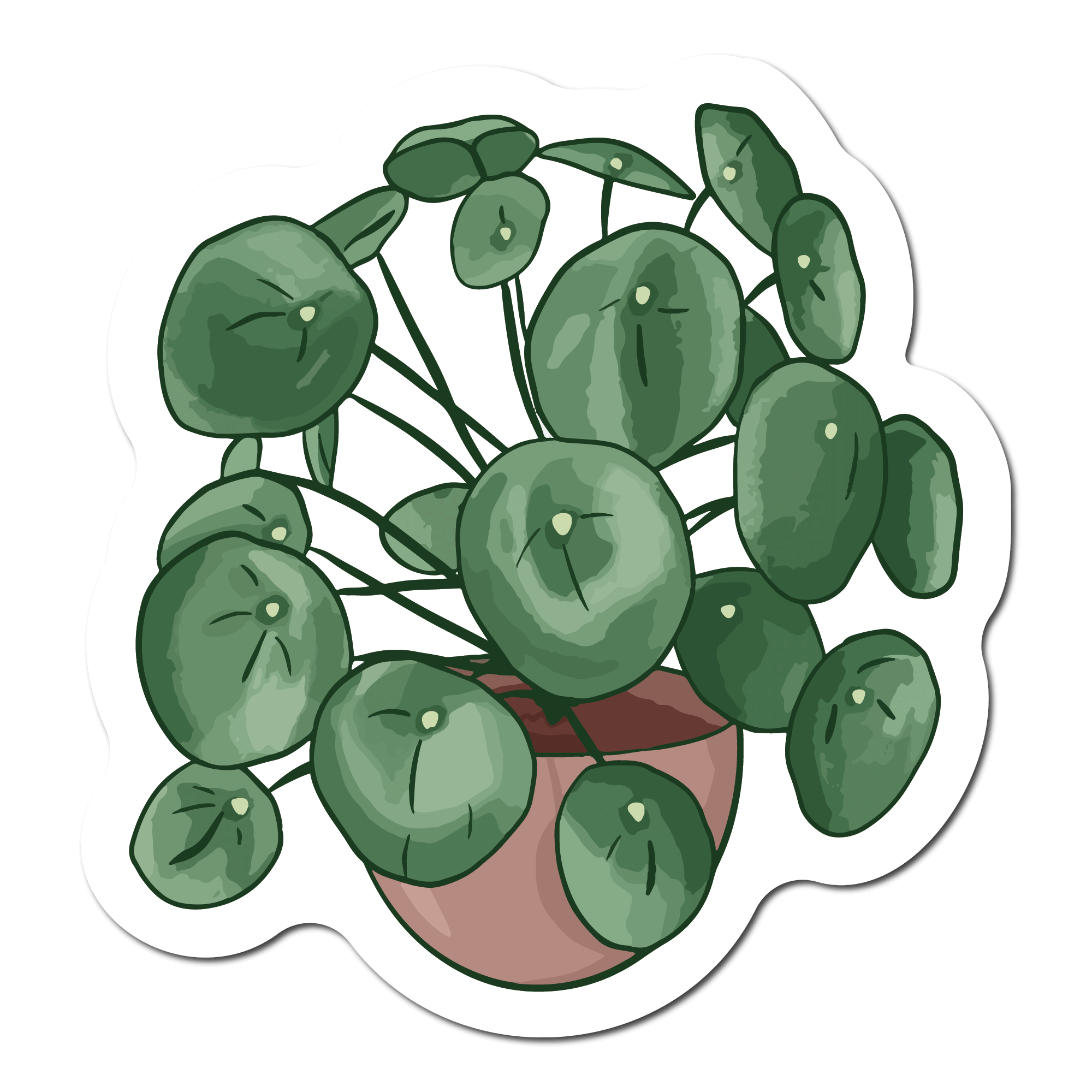Small Sticker of a Chinese Money Plant Houseplant 