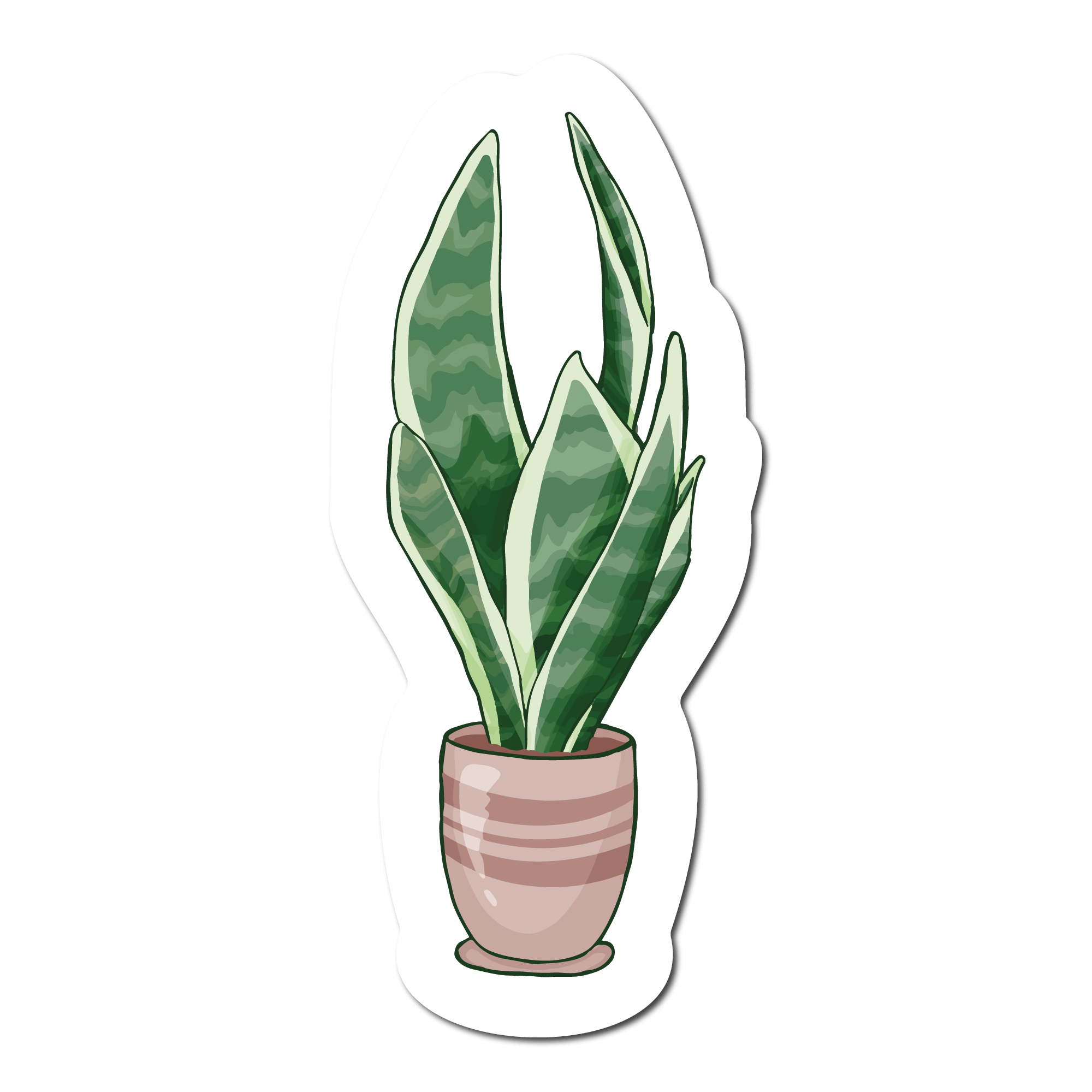 Small Sticker of a Snake Plant or Mother in Laws Tongue