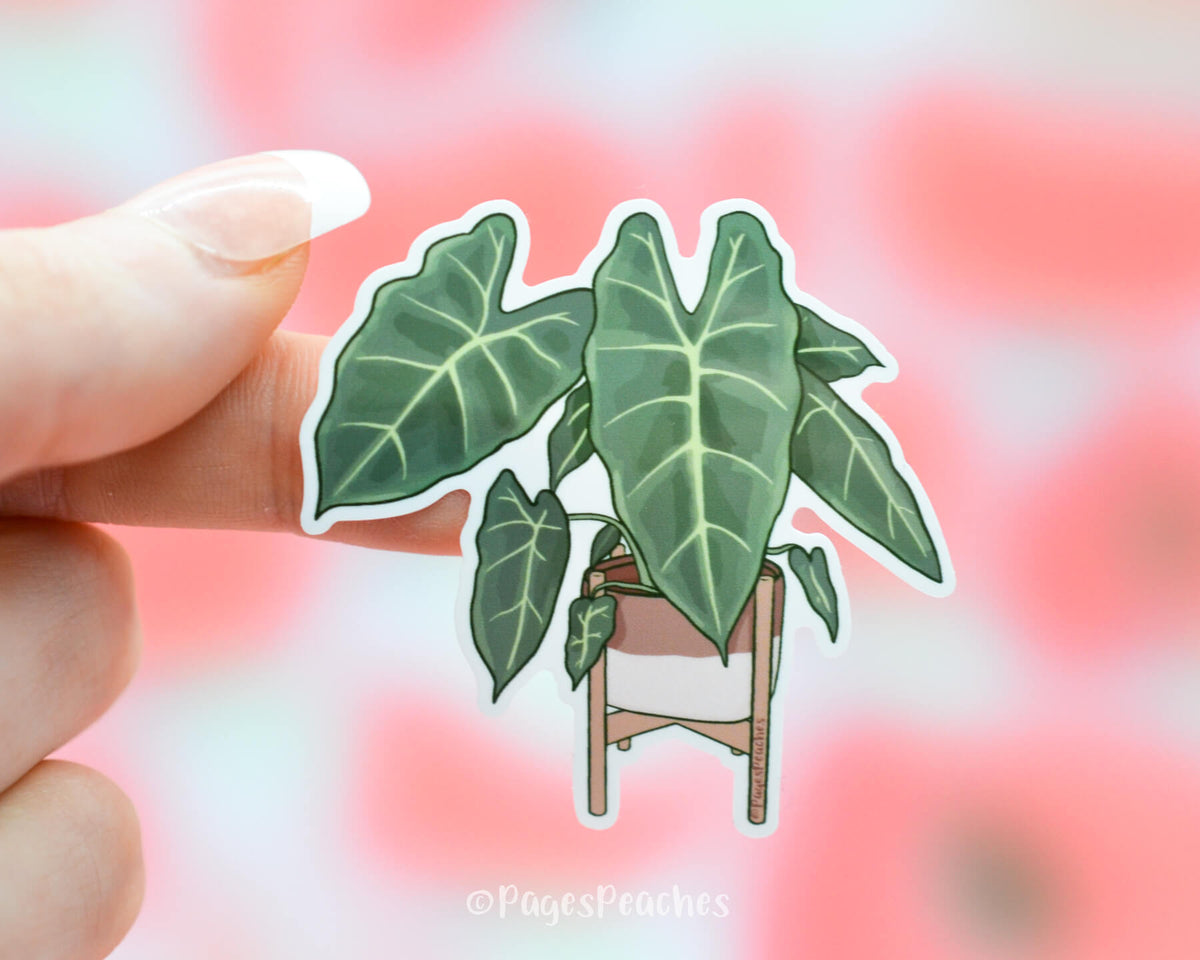 Large Elephants Ear Sticker