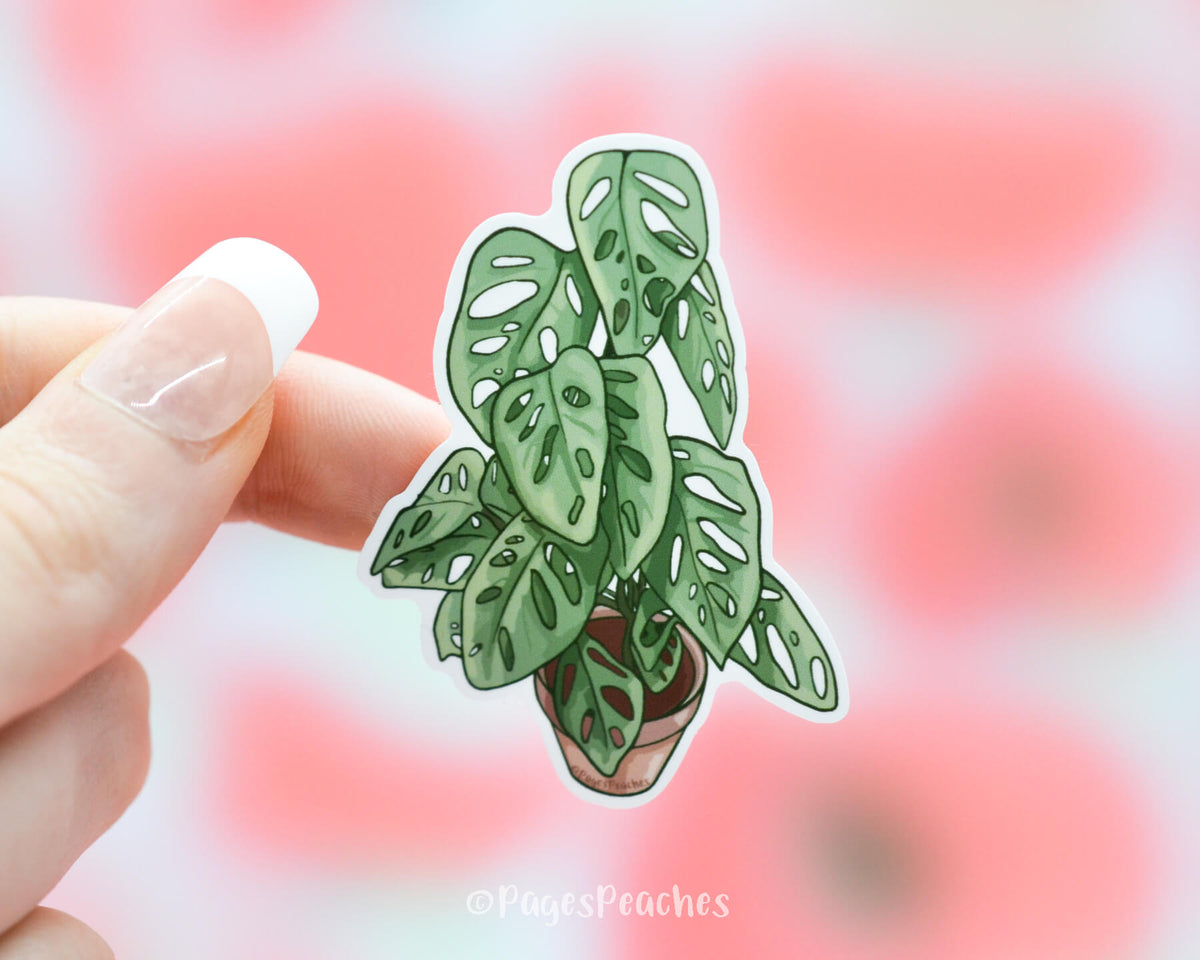 Large Swiss Cheese Plant Sticker