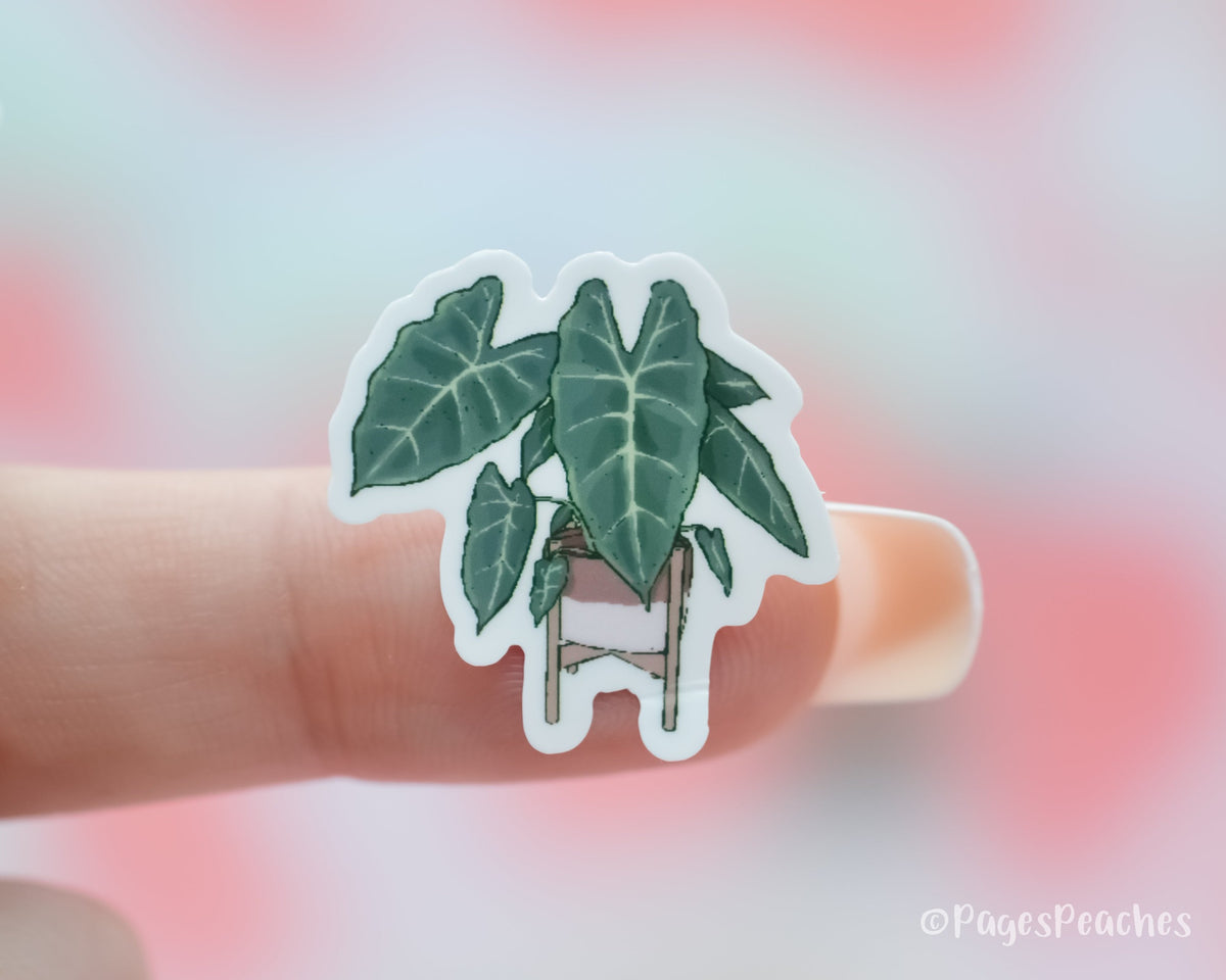 Small Sticker of an Elephants Ear Houseplant sticker stuck to a finger