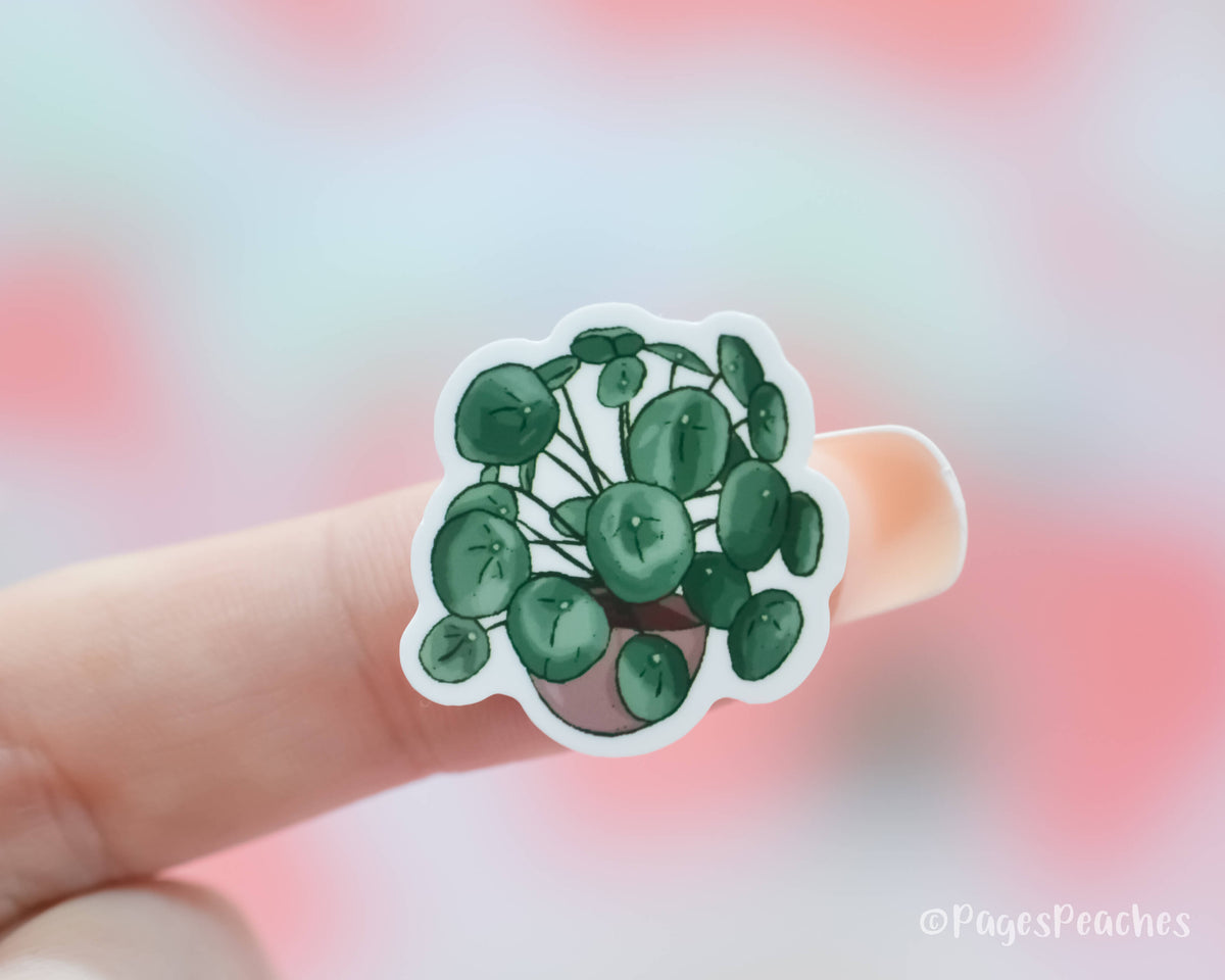 Small Sticker of a Chinese Money Houseplant Sticker stuck to a finger